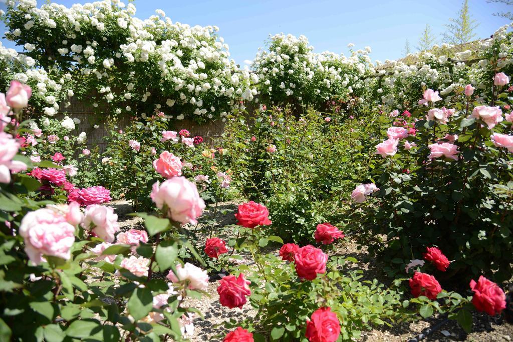 La Maison De Line Saint-Rémy-de-Provence المظهر الخارجي الصورة