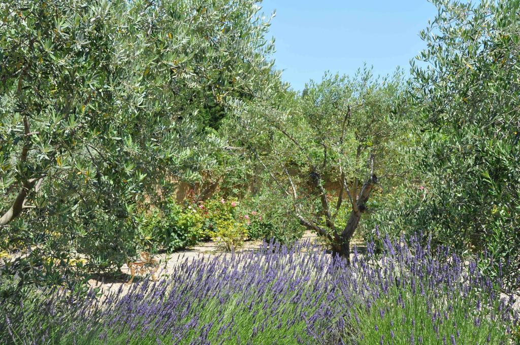 La Maison De Line Saint-Rémy-de-Provence الغرفة الصورة