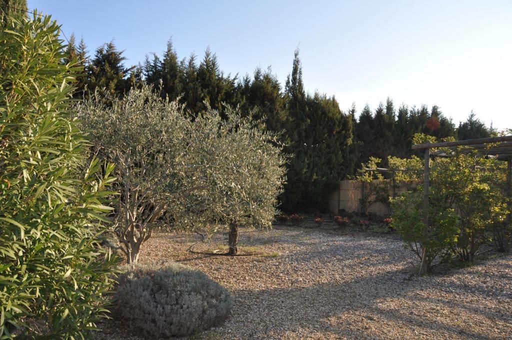 La Maison De Line Saint-Rémy-de-Provence المظهر الخارجي الصورة