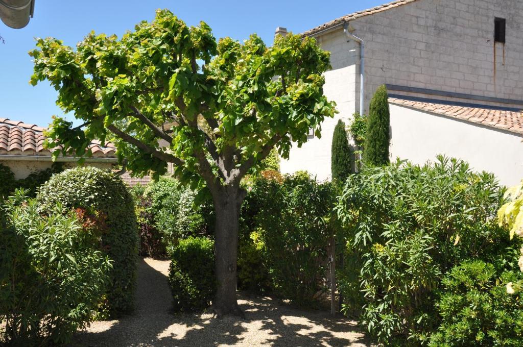 La Maison De Line Saint-Rémy-de-Provence المظهر الخارجي الصورة
