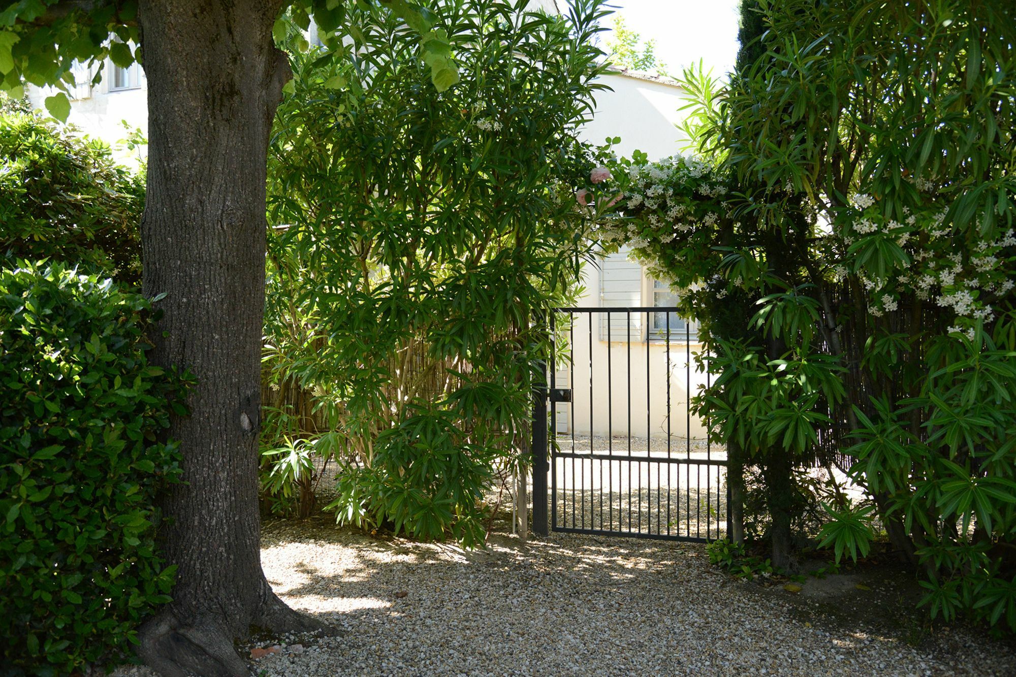 La Maison De Line Saint-Rémy-de-Provence المظهر الخارجي الصورة