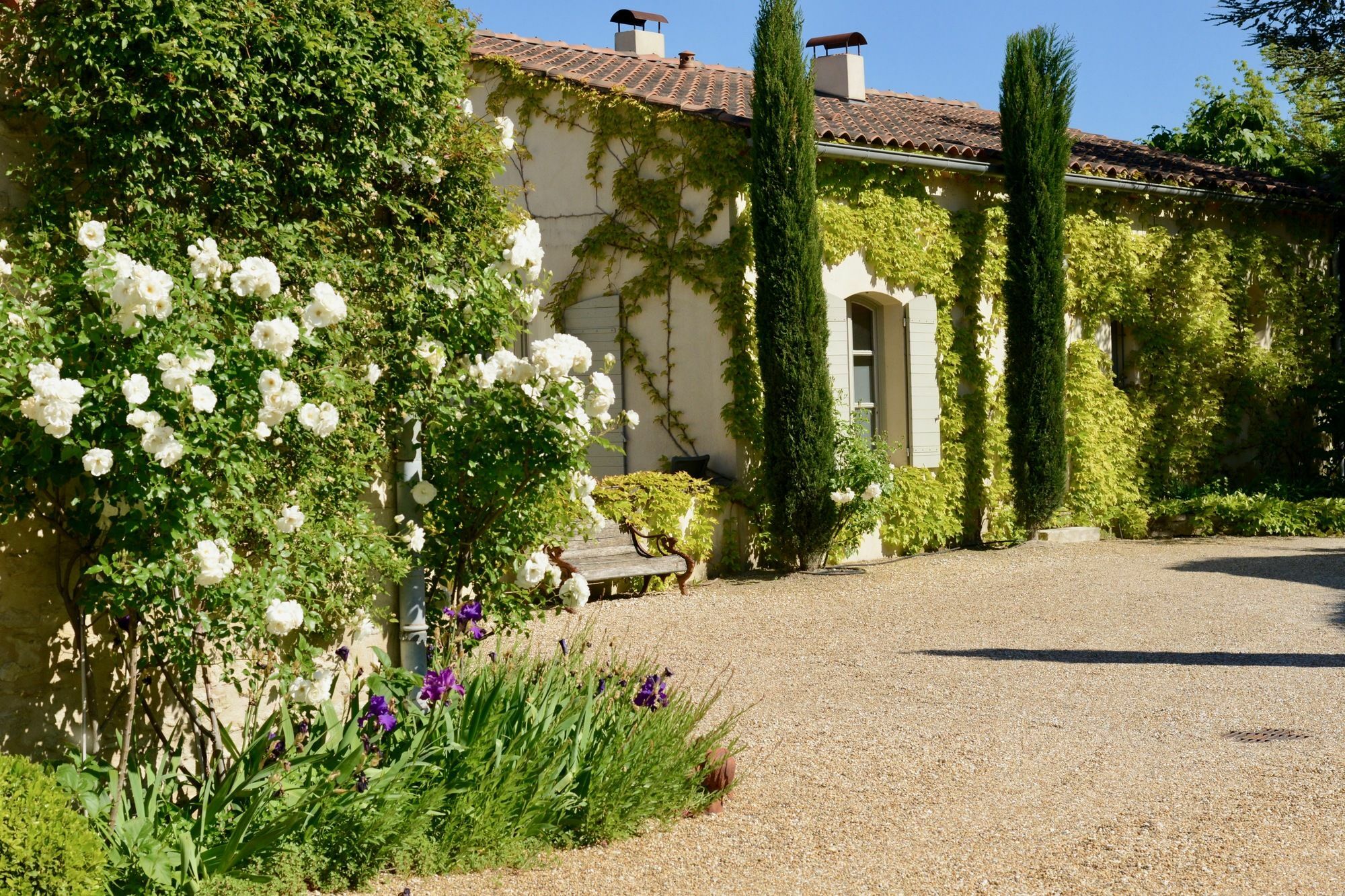 La Maison De Line Saint-Rémy-de-Provence المظهر الخارجي الصورة